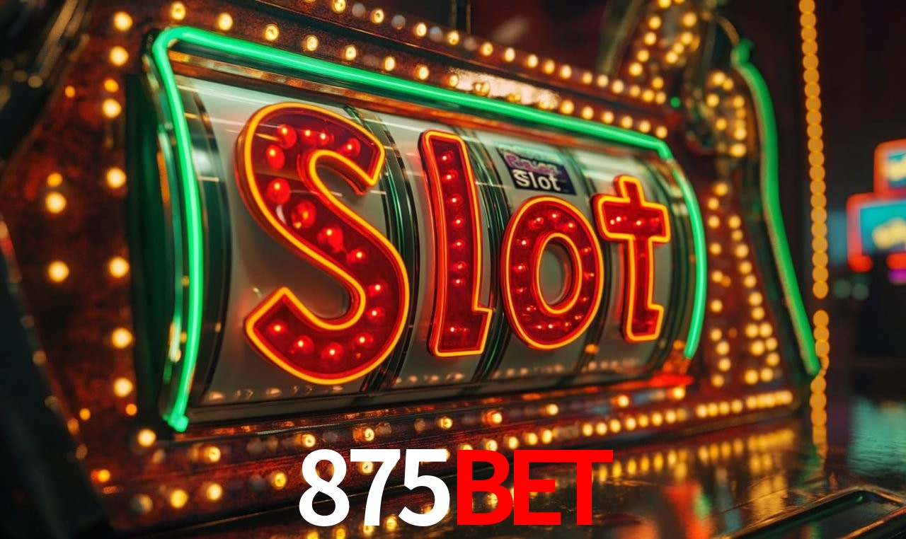 875Bet - User Statistics