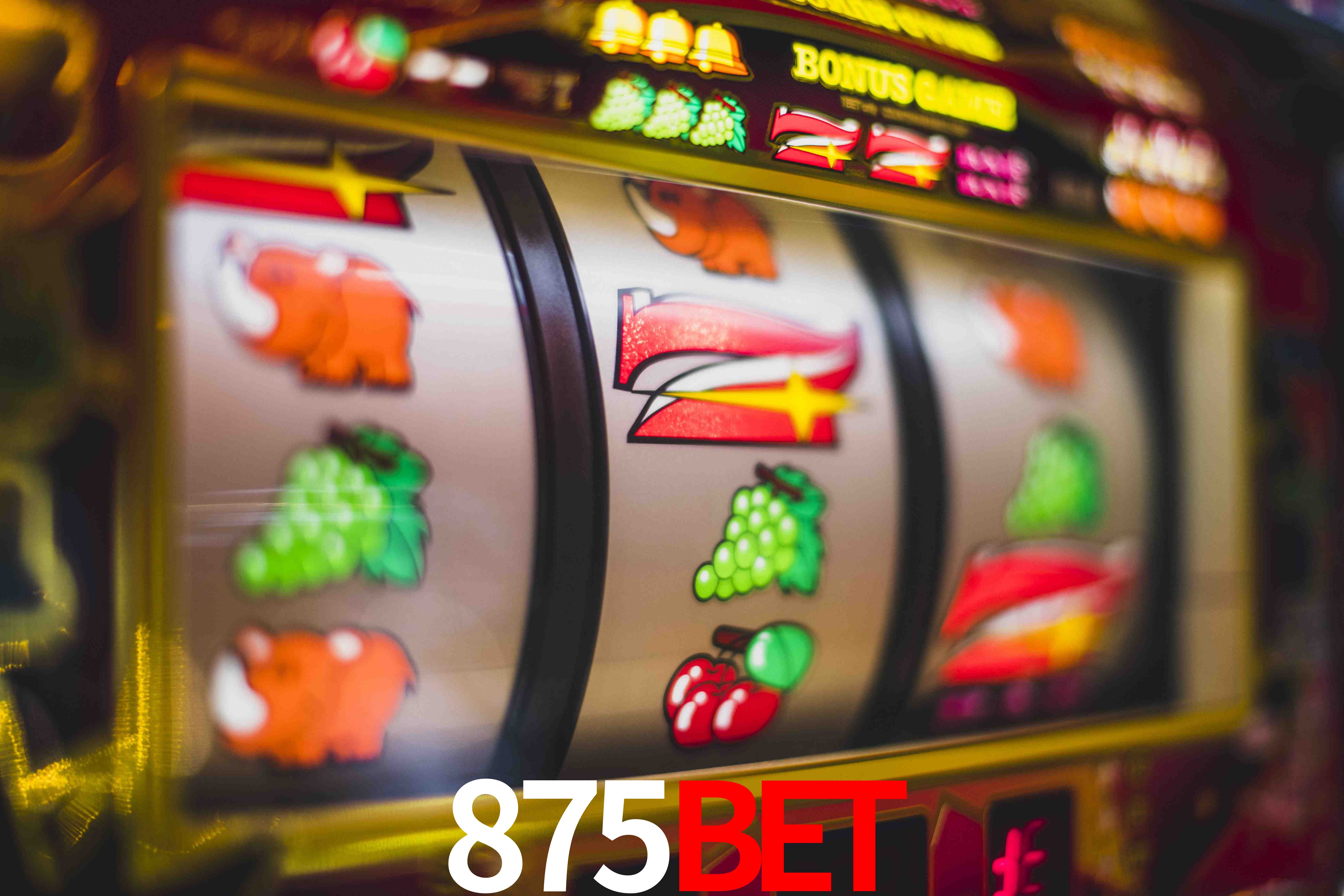 Statistics 875Bet